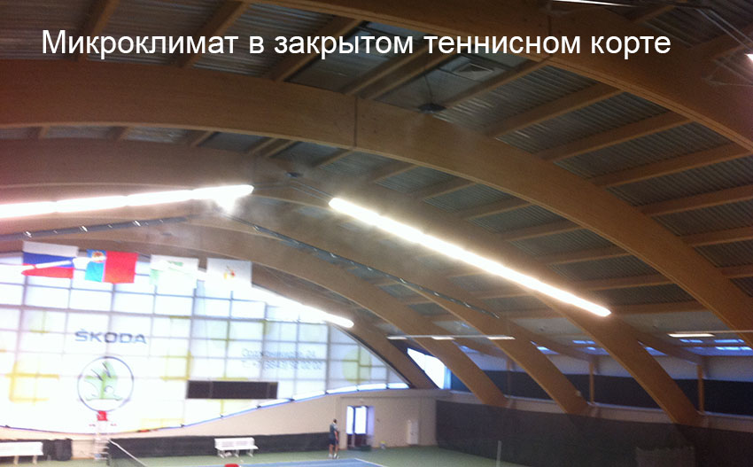 sport